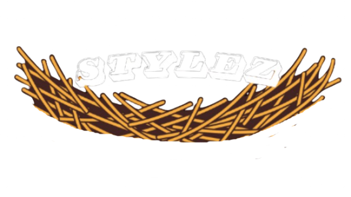 StylezNest