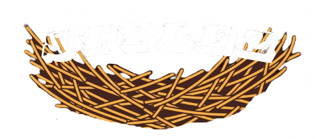 StylezNest