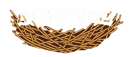 StylezNest